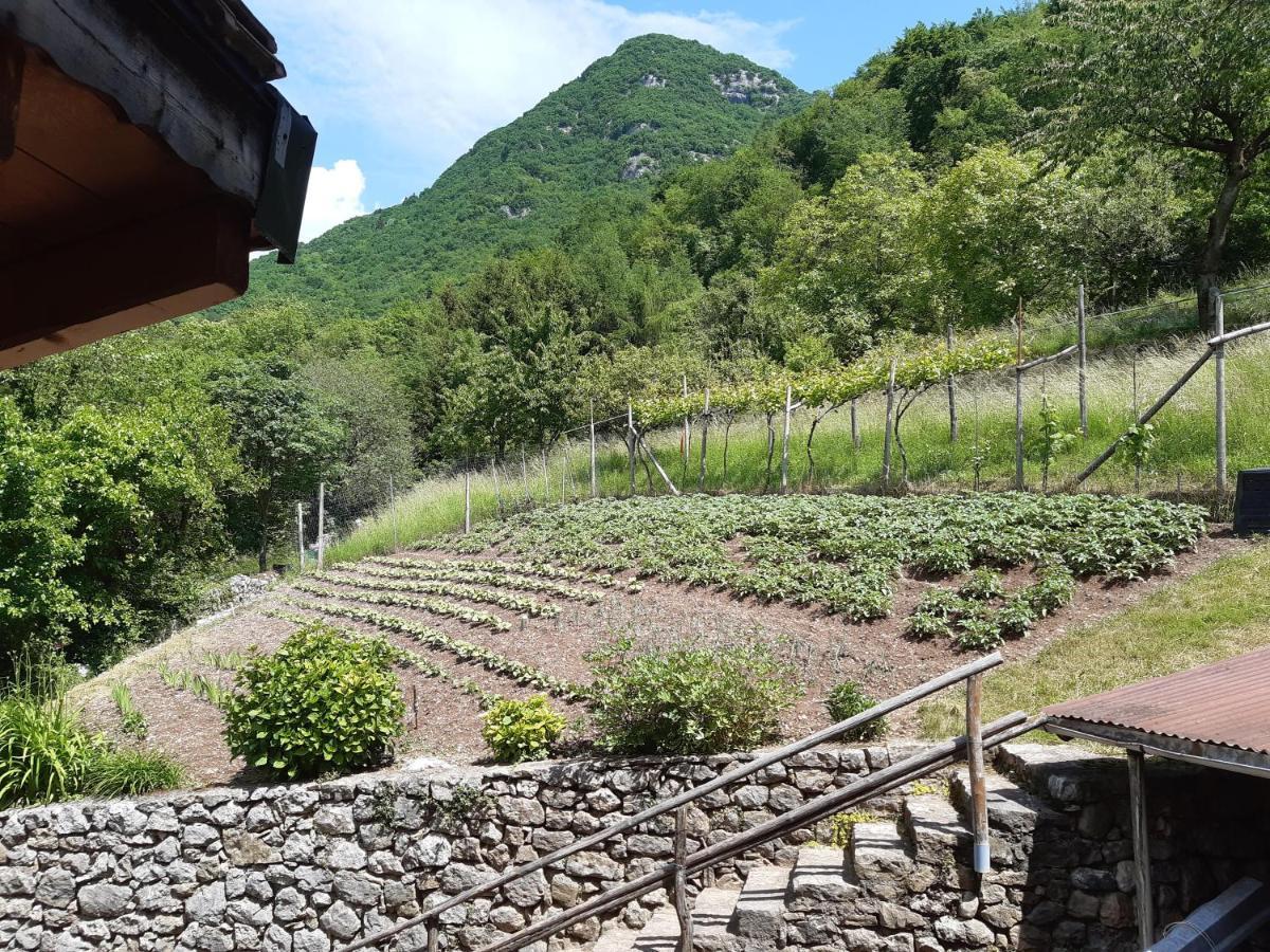 Ca' Berti Appartamento Con Terrazza Ville Del Monte 텐노 외부 사진